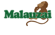 Silver Sponsor