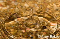 Droplet Shoot the Hills Winner