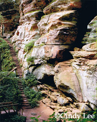Steps Shoot the Hills Winner