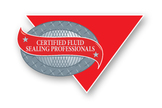 CFSP
