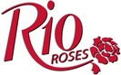 rio rose