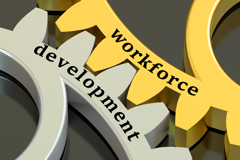 Workforce Development picture