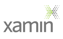 Xamin