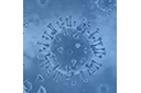 COVID-19 Update: Vaccination Phases, Nursing Home Vaccinations, Virus Variant, Vaccine Redistribution, Bar & Restaurant Fund Deadline Extension