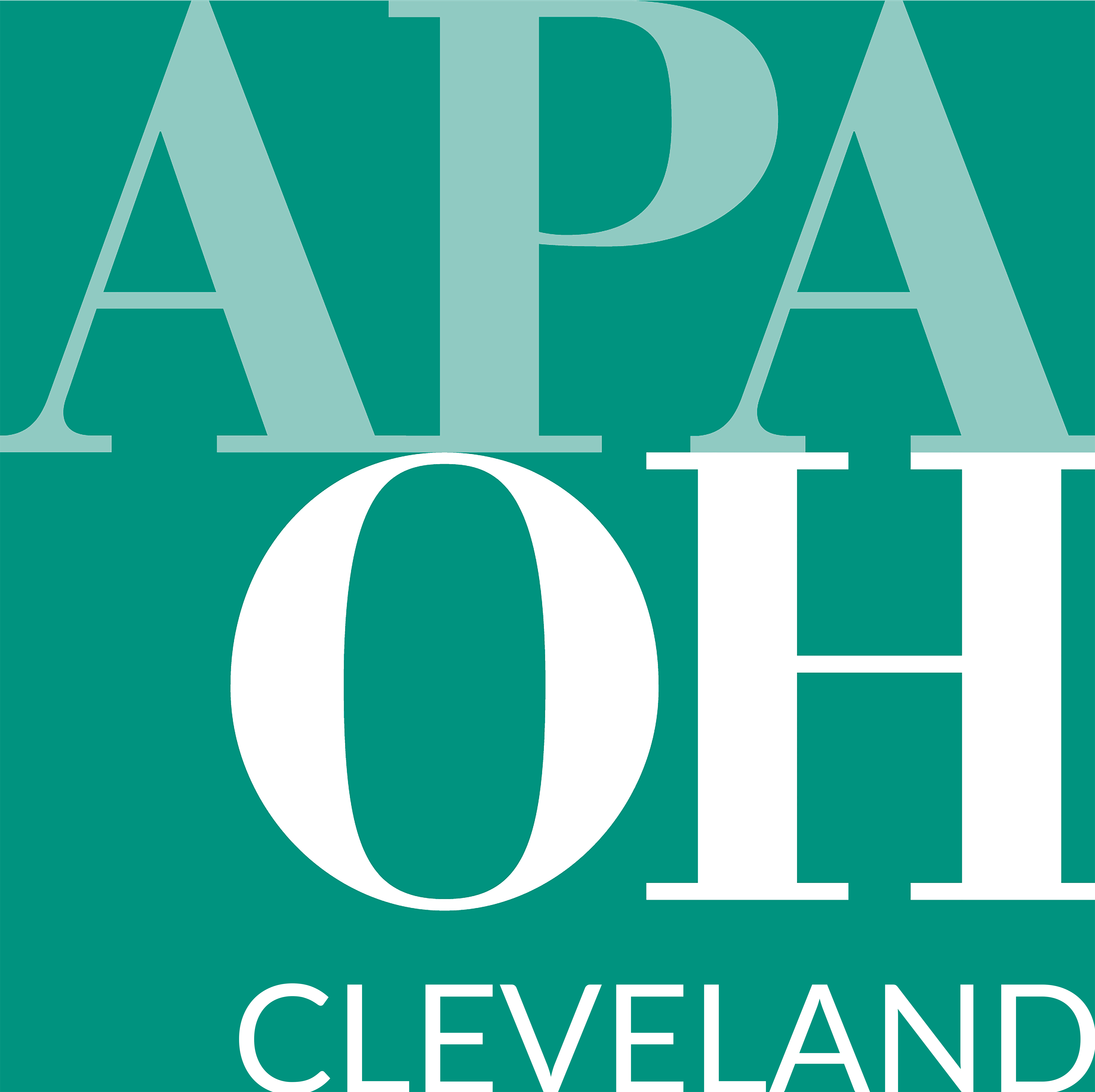 Northeast Ohio P&Z Workshop