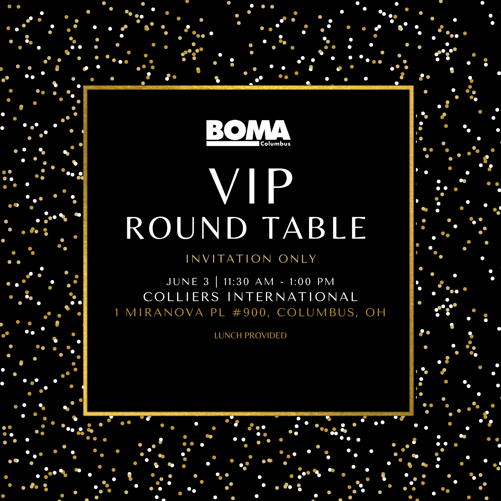 VIP Round Table 2026