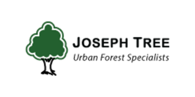 Joseph Tree