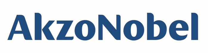 Akzonobel Wordmark Logo