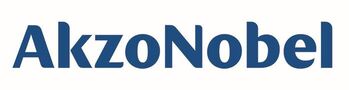 Akzo Nobel Wordmark Logo