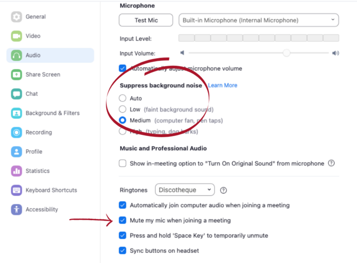 Zoom Audio Settings