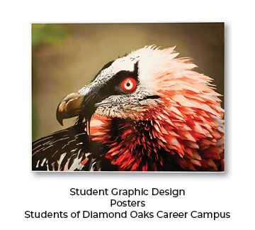 Students of Diamond Oaks Career Campus