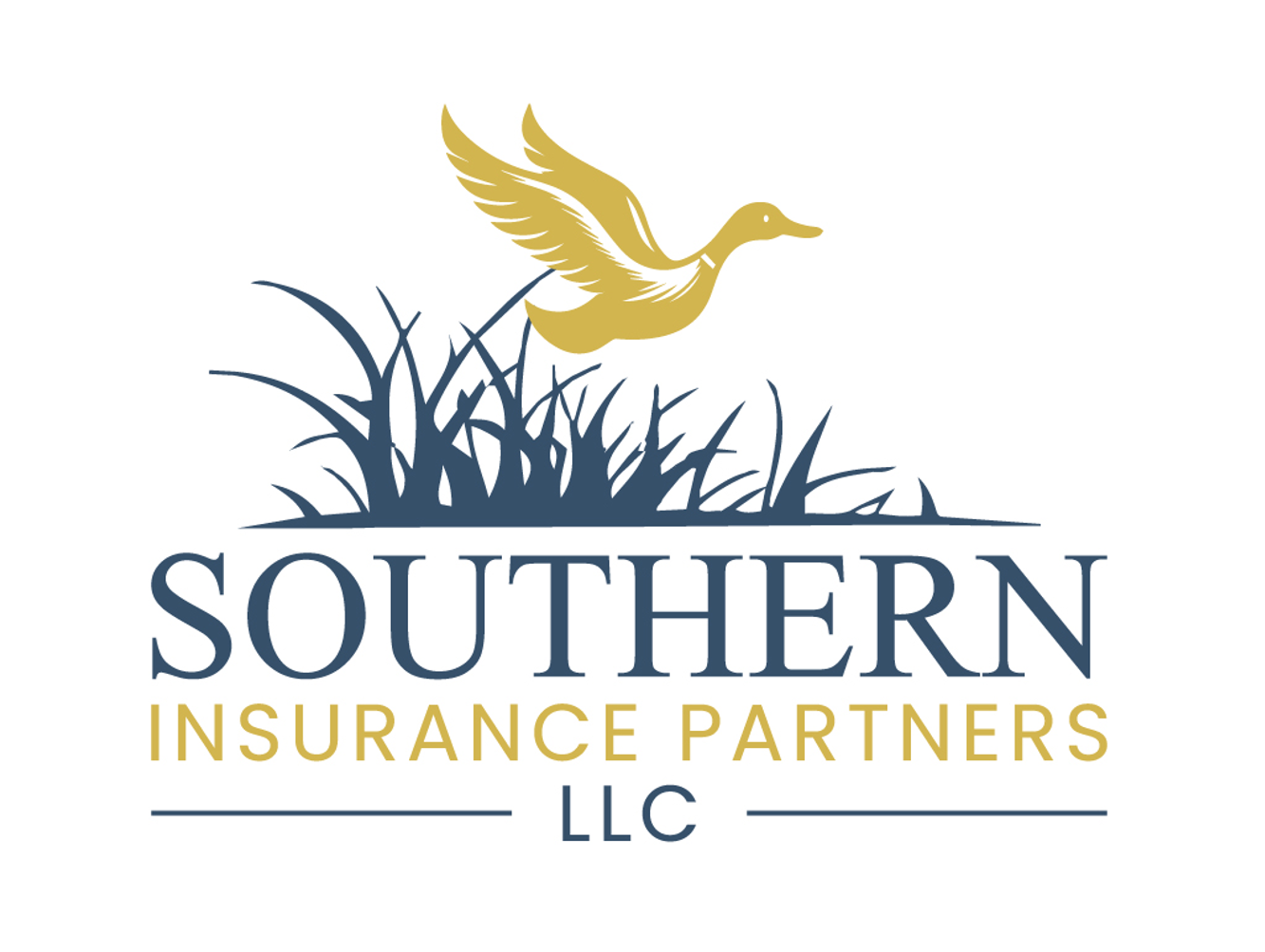 Southern Insurance Partners, LLC