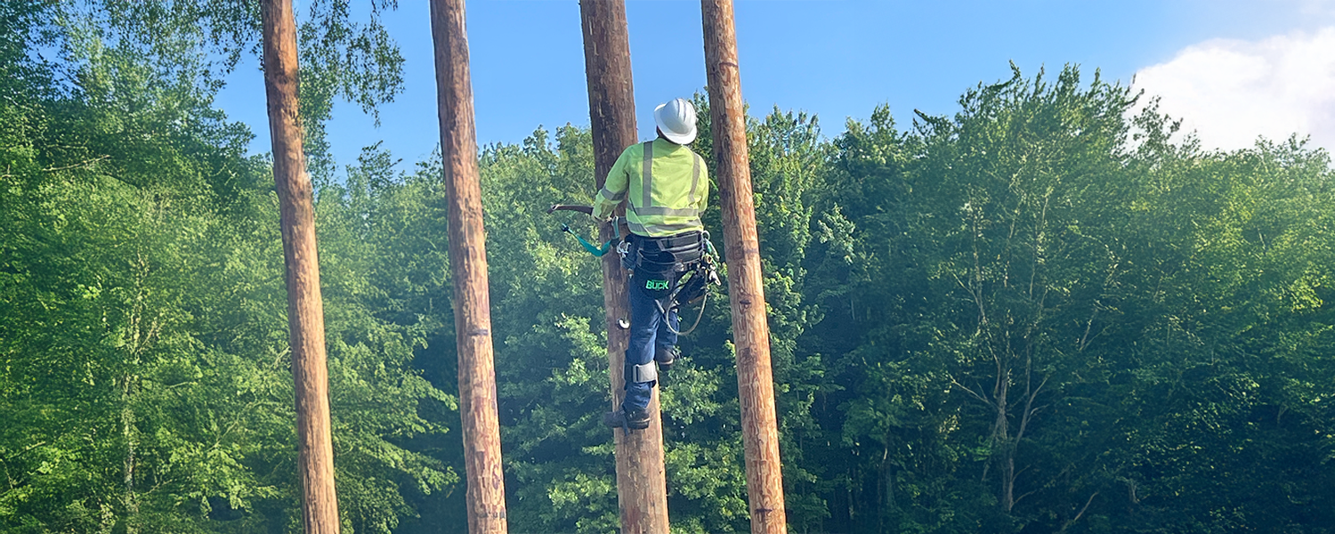 Lineman