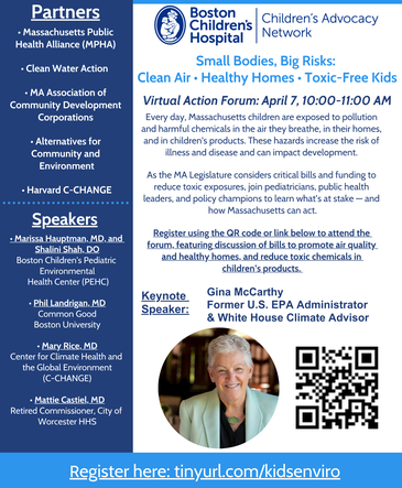 Virtual Children's Environmental Health Briefing Flyer