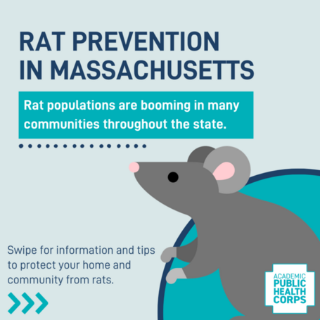 rat poster