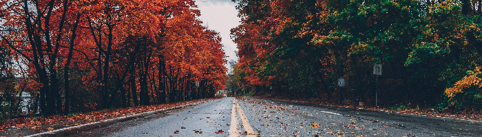 MHOA Weekly Newsletter