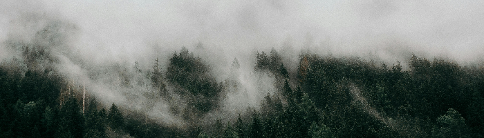 MHOA Weekly Newsletter