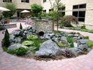 Water Feature