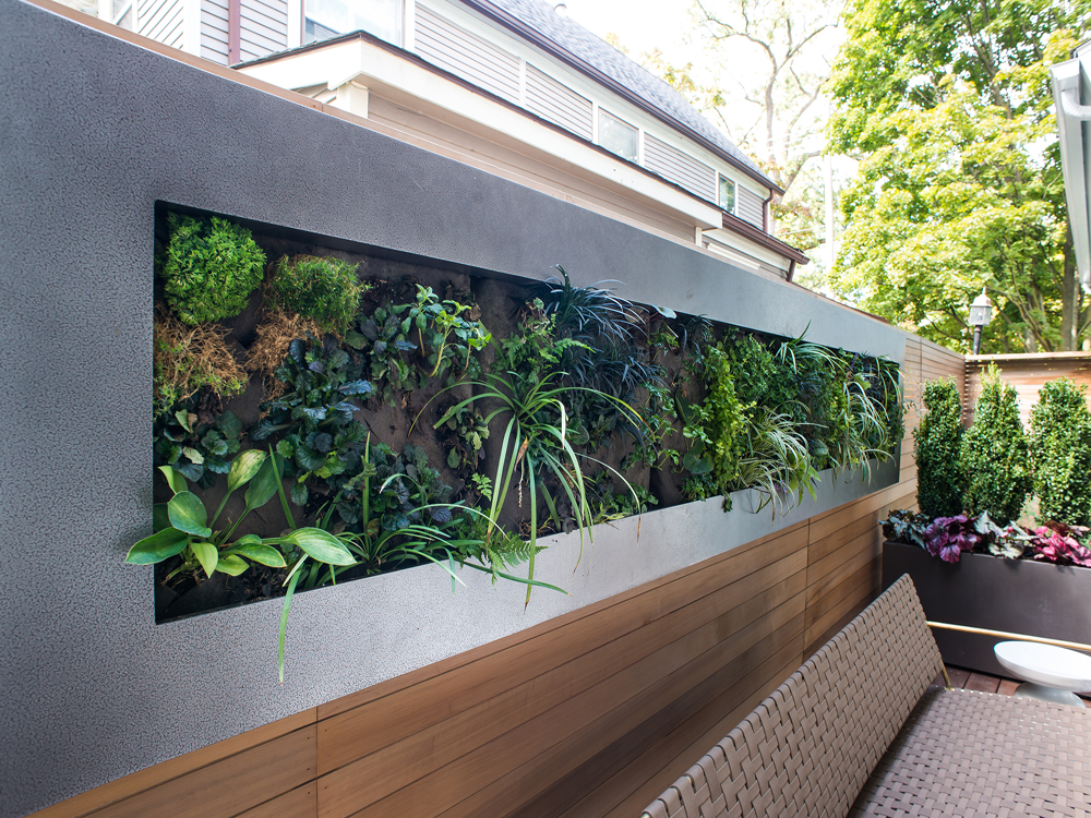 Plant Michigan Green