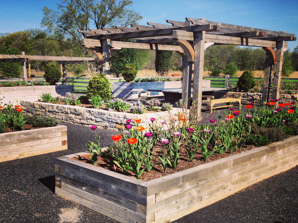 Plant Michigan Green