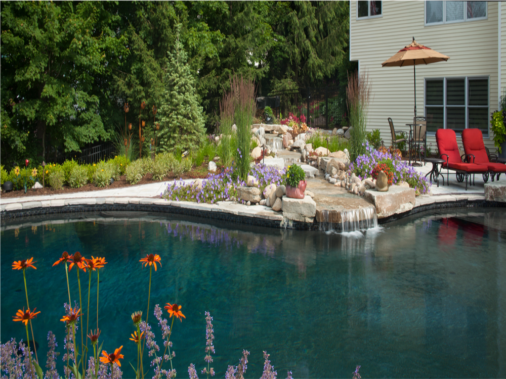 Winner1 Copy Resized