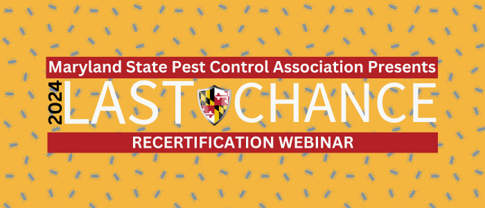 Last Chance Recertification Webinar 2024