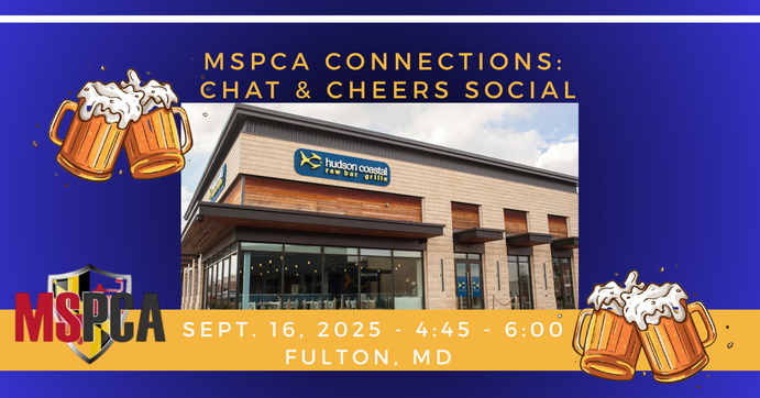 MSPCA Connections