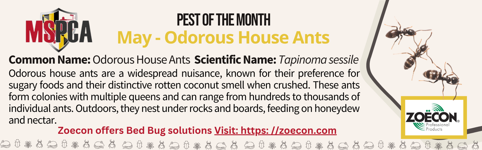 PTOM May 2026 - Odorous House Ant - CLS