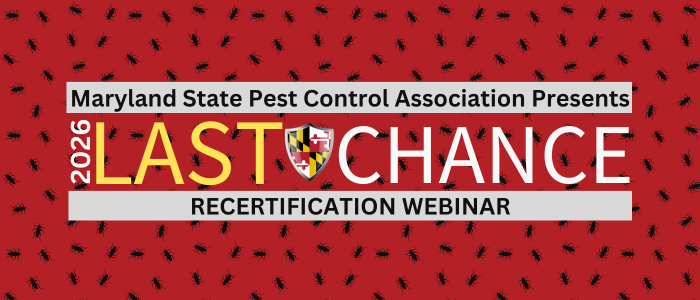 Last Chance Webinar Banner 700 X 300 Px 