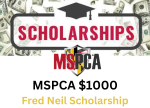 Fred Neil Scholarship Application Extended until July 31st