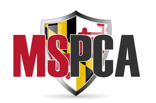 MSPCA Board & Annual Meeting
