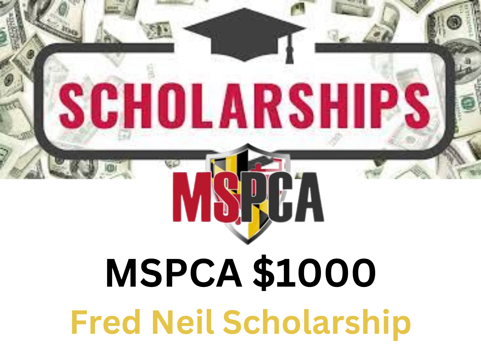 MSPCA Scholarships Available for Children or Employees of Member Companies