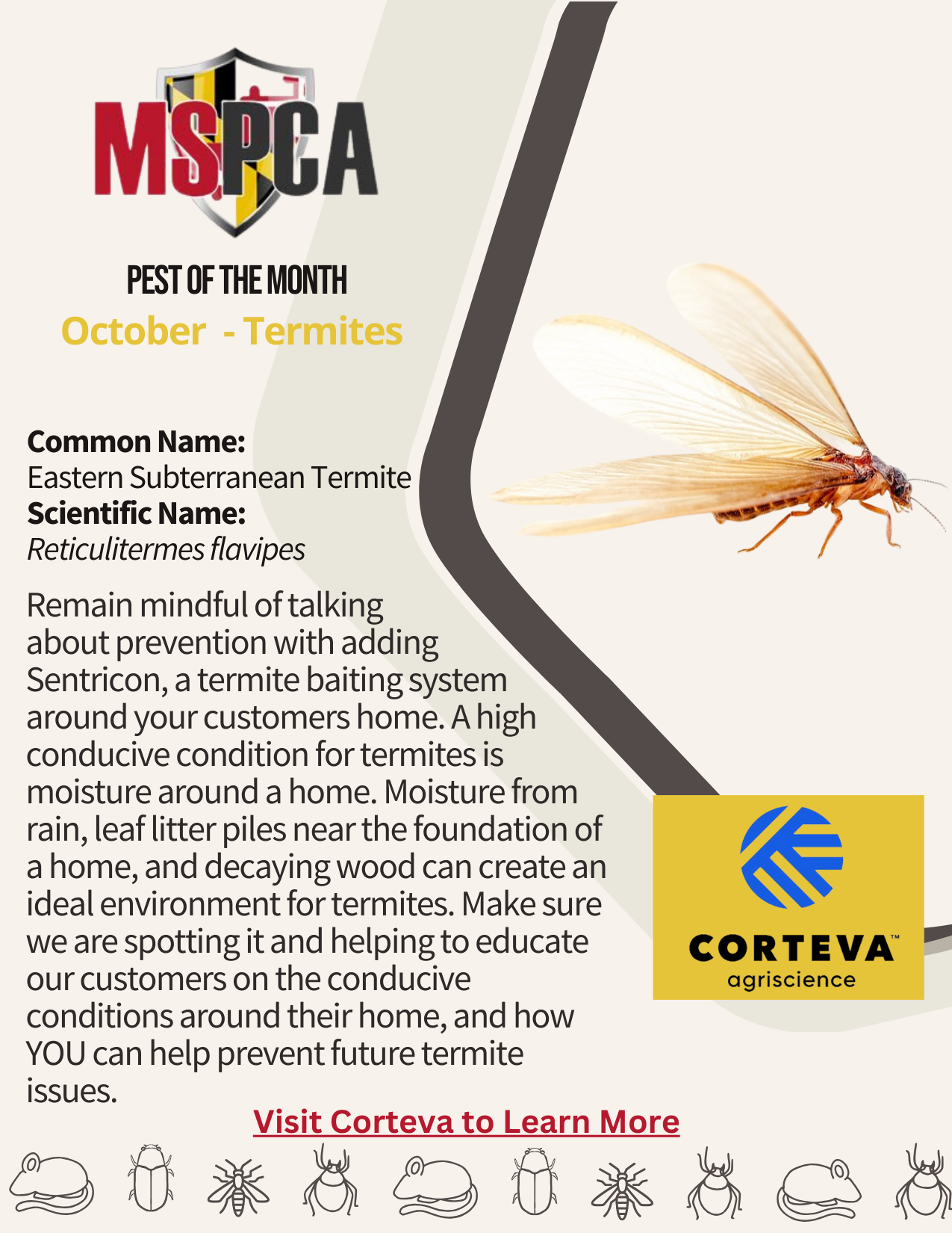 Pest of the Month