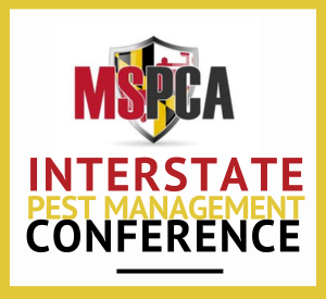 Looking Back on Another Successful IPMC 