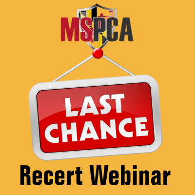 MSPCA Last Chance Recert Webinar - Get Credits & Great Training Too!