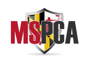 You’re Invited! MSPCA Annual Dinner & Board Meeting