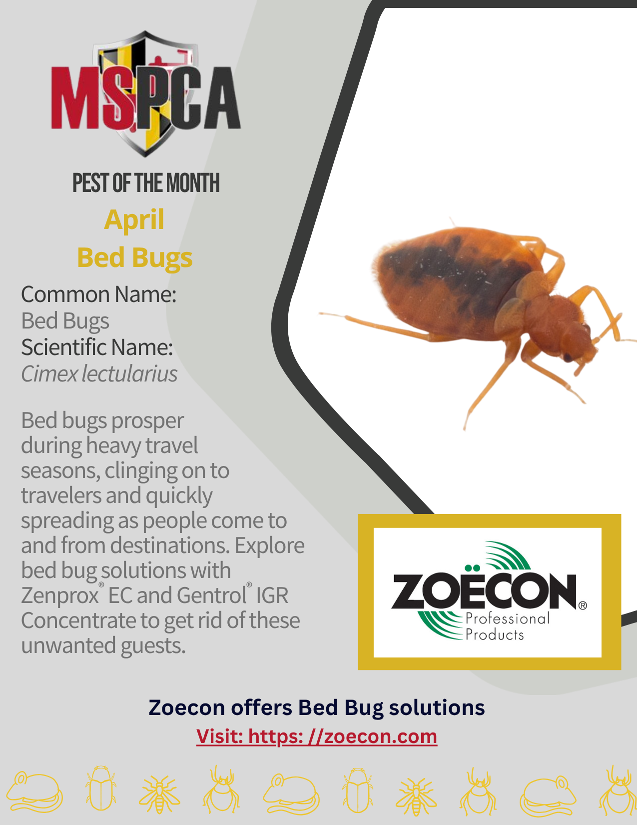 Bed Bugs - April 2026