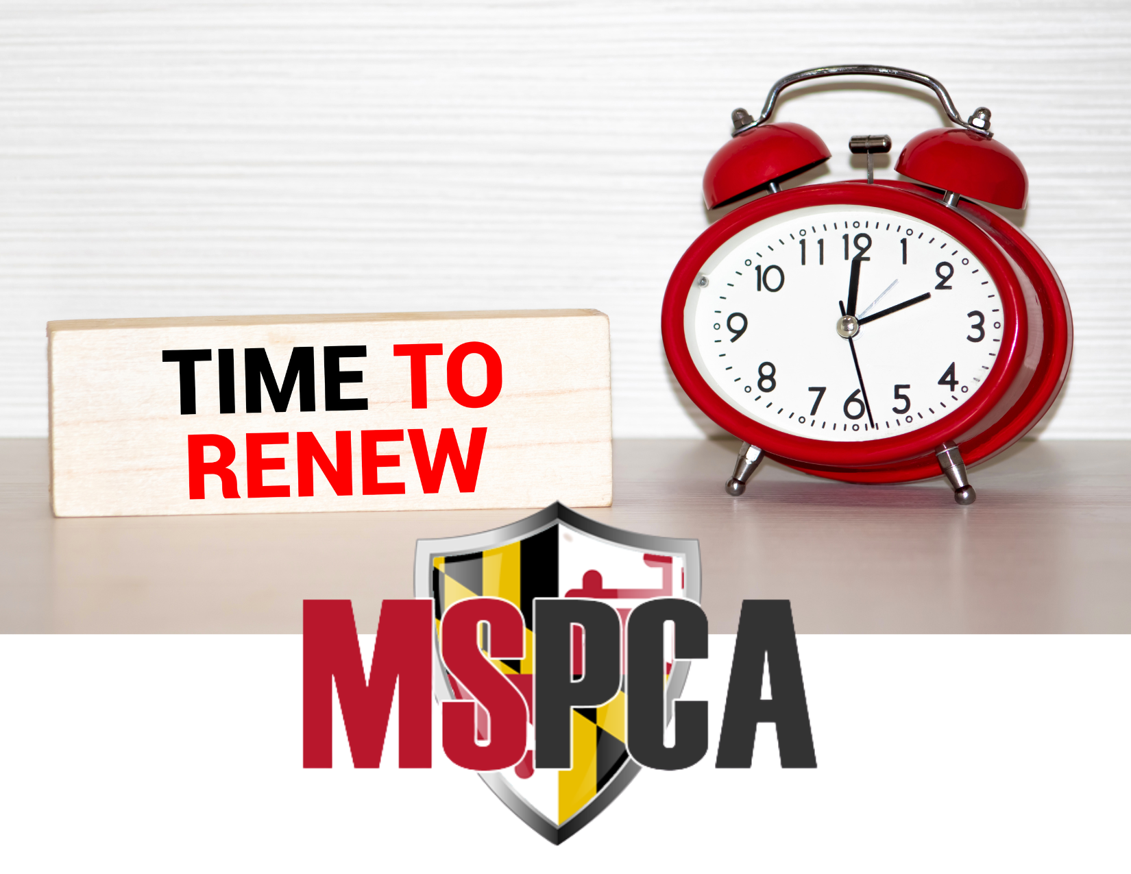 Renew Your MSPCA Membership by June 30