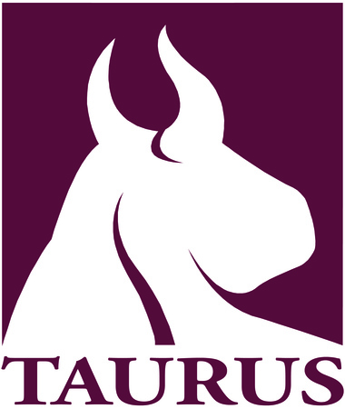 Taurus Investment Holdings Taurus Investment Holdings