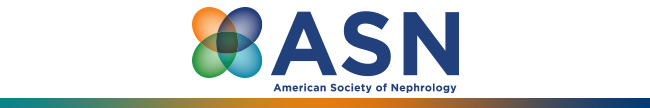 ASN Logo