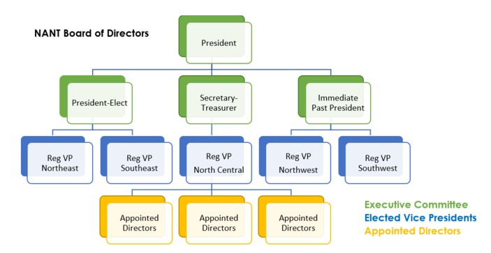 NANT Organizational Chart