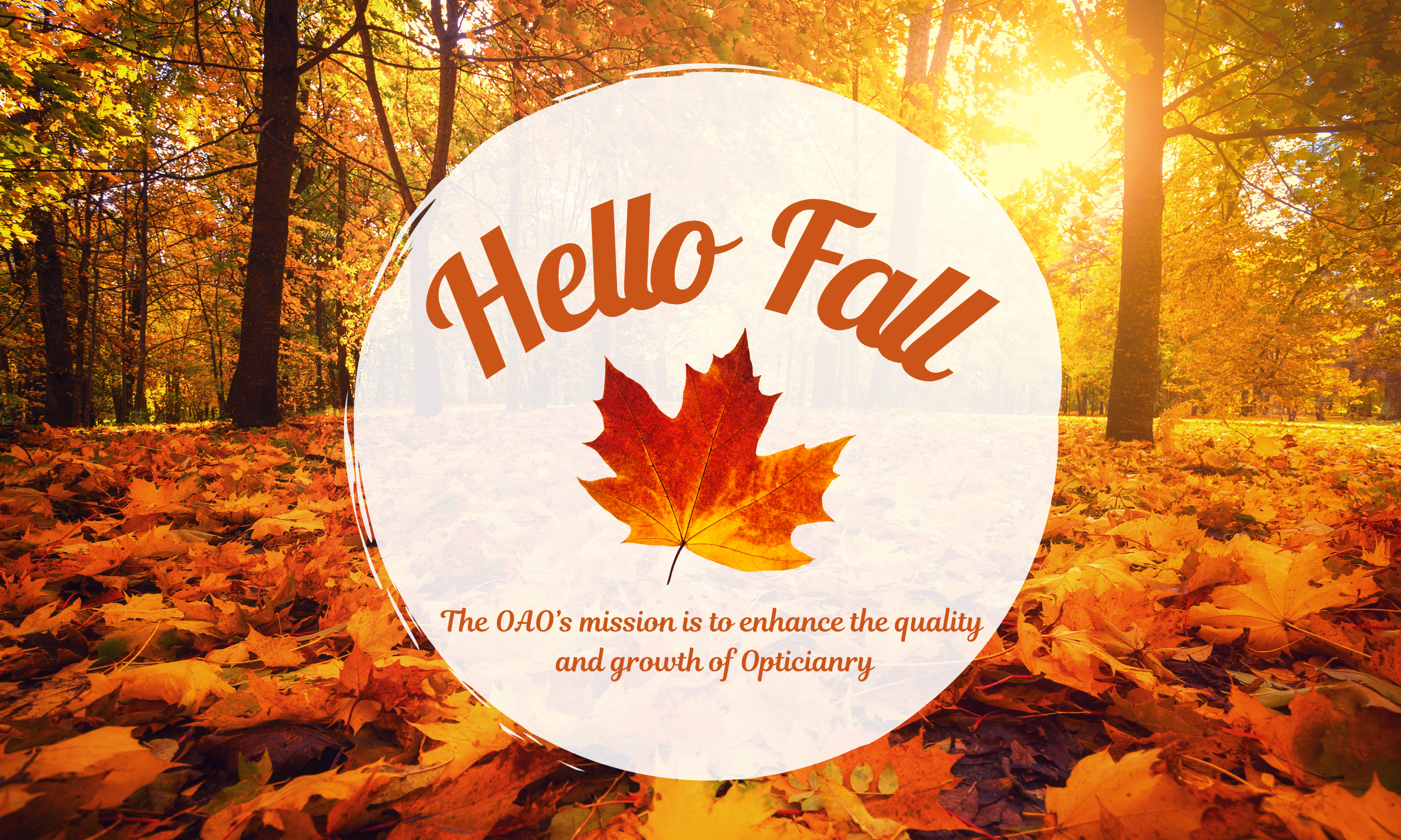 Hello Fall 2024