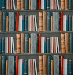 Excellence in Student Research: Posters, Presentations, and Publications