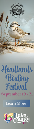 Headlands Bird Festival
