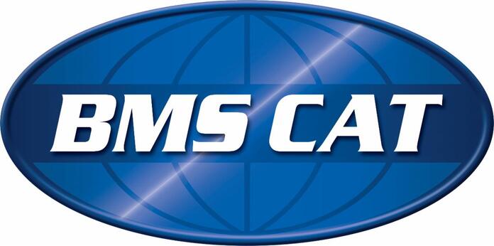 BMS Cat BMS Cat