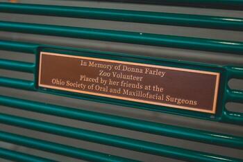Donor Bench 2 004
