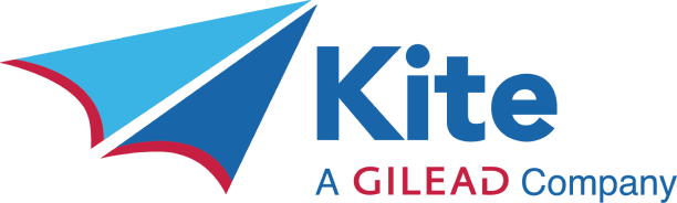 Kite