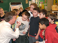 Grades 1 And 2 The Adventures Of Rhet Tina