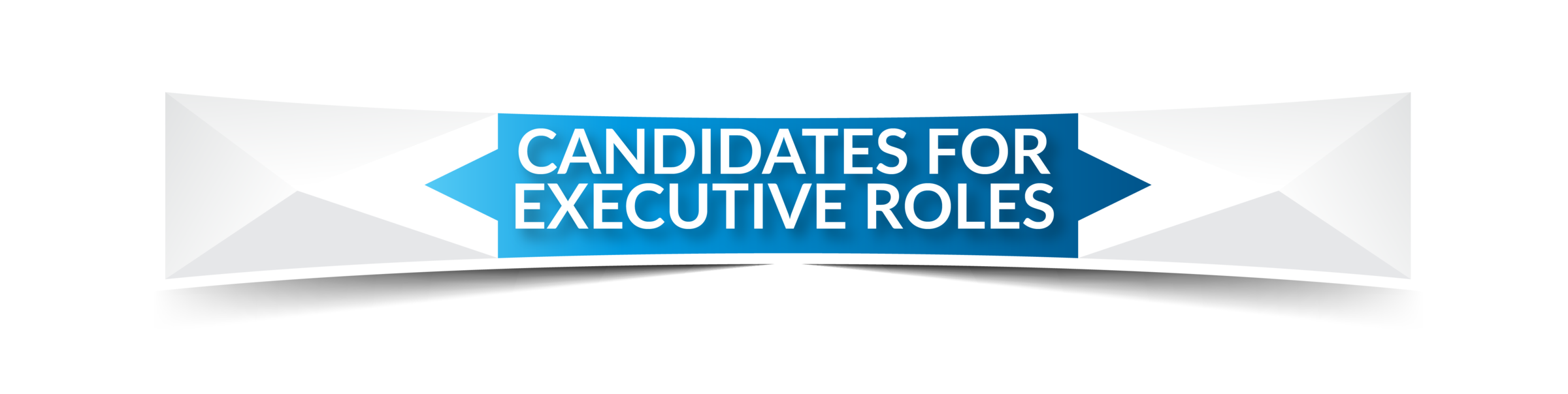 2027 Board Candidacy Banners