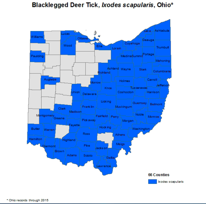 Ohio County Map